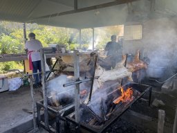 20250424-PNGrillade