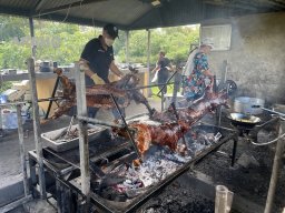 20250424-PNGrillade